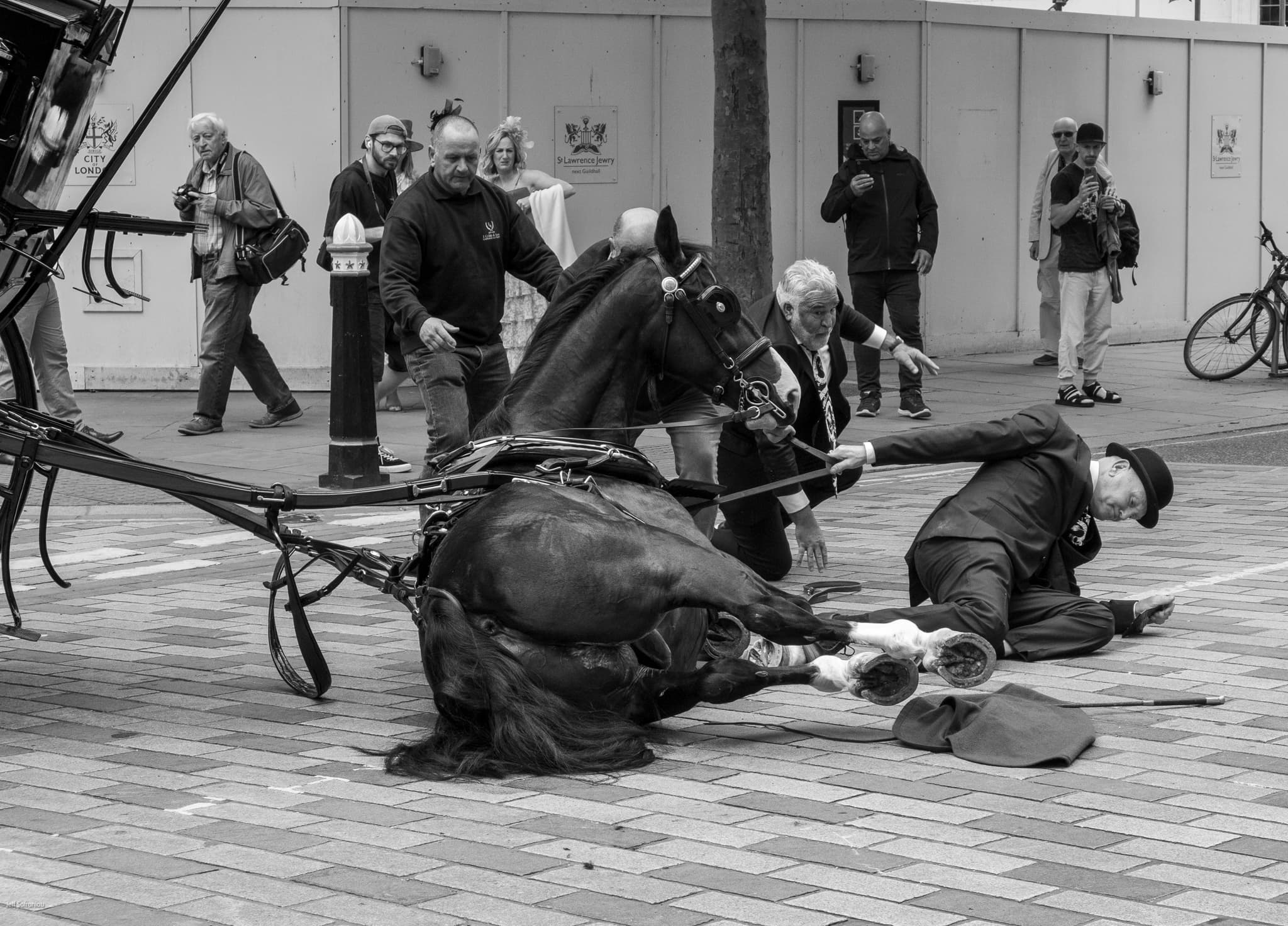 Horse Accident
